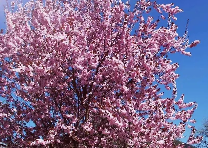 Mikula-hubacek Apartamento Bad Aussee